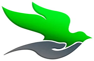 Favor International logo